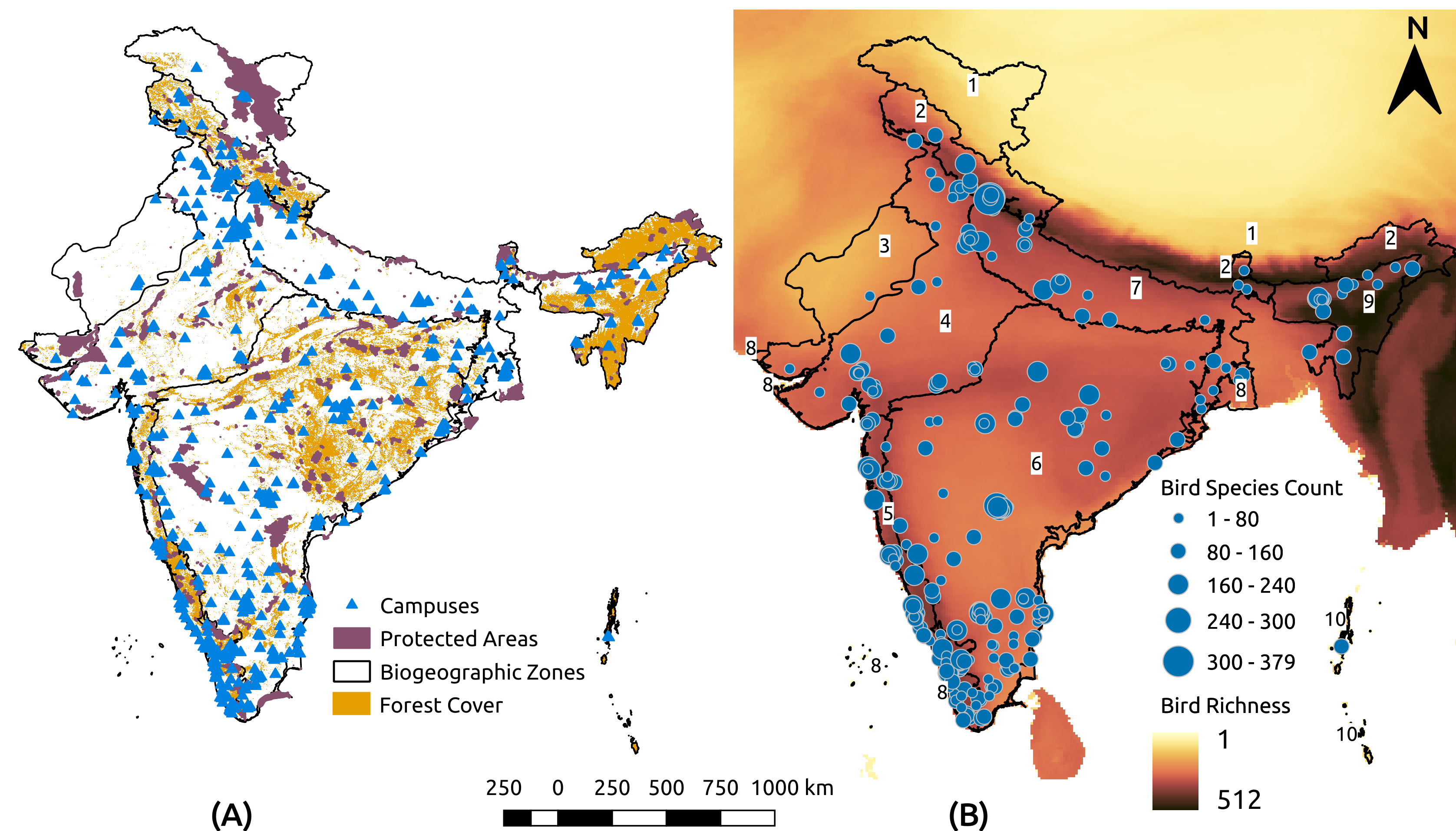 Ebird data analyses